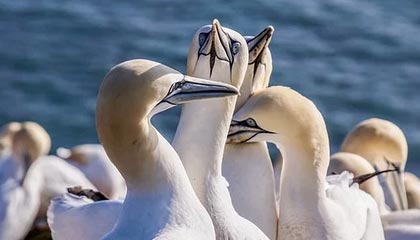 星空体育在线登陆-体育新闻中心发布智慧场馆内容发布全景解决方案，体育场馆智慧化服务的体现